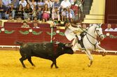 Corrida de touros Campo Pequeno 125 anos 