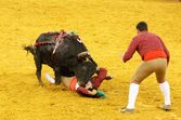 Corrida de touros Campo Pequeno 125 anos 