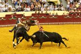 Corrida de touros Campo Pequeno 125 anos 