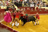 Corrida de touros Campo Pequeno 125 anos