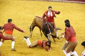 Corrida de touros Campo Pequeno 125 anos