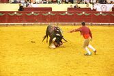 Corrida de touros Campo Pequeno 125 anos