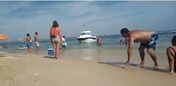 barco toy
