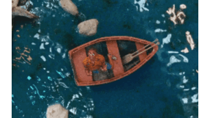 Sinta o ritmo vibrante de Calvin Harris