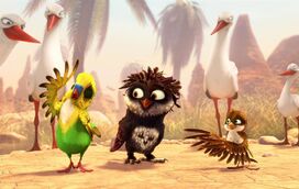 Um pardal que queria voar como as cegonhas