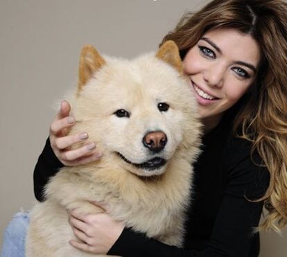 Dia Mundial do Cão. Conheça os amigos de 4 patas mais famosos das redes sociais