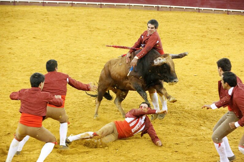Corrida de touros Campo Pequeno 125 anos 