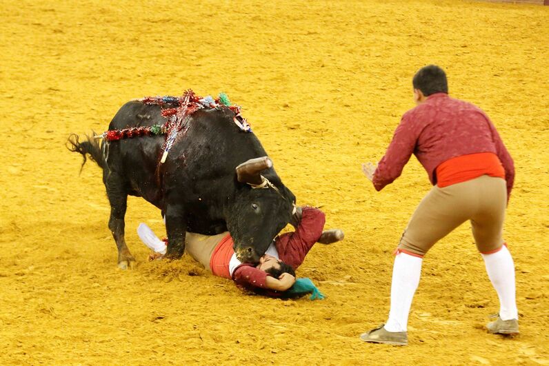 Corrida de touros Campo Pequeno 125 anos 