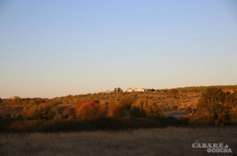 Outra vista da casa aletenjana do apresentador de 'Você na TV!