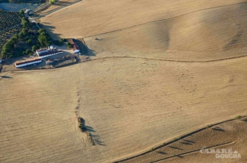 O monte que o apresentador de 'Você na TV!' partilha com o companheiro, Rui Oliveira, aos fins de semana tem grandes dimensões