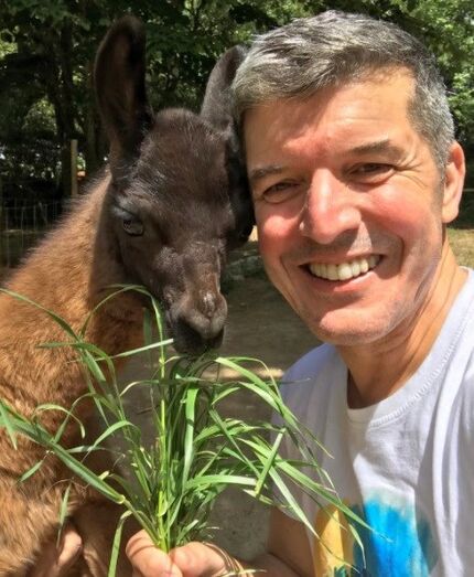 João Baião, SIC, quinta, animais exóticos