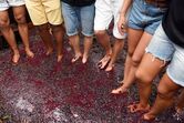Madeira feira do vinho 