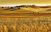 Alentejo, planície, cereais