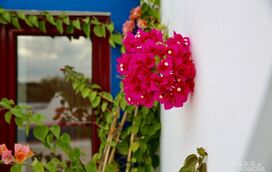 Goucha revela como foram as férias: "Andei longe, dentro de mim"