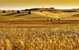 Os melhores refúgios no coração do Alentejo para fazer reset e desligar do intenso ritmo do dia a dia