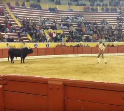 Fernando Quintela é o 9.º forcado a morrer nas arenas portuguesas