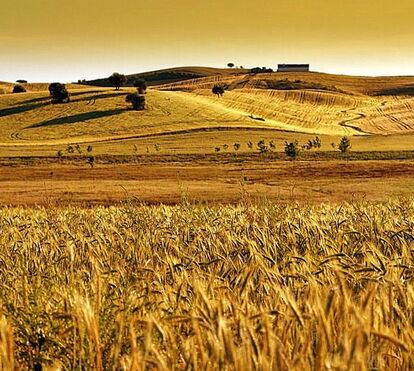 Os melhores refúgios no coração do Alentejo para fazer reset e desligar do intenso ritmo do dia a dia