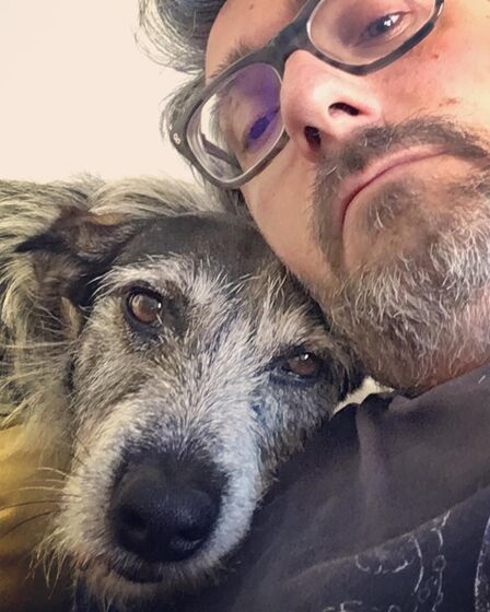 Nuno Markl, casa, cães, destruição, quintal, rádio comercial, humorista