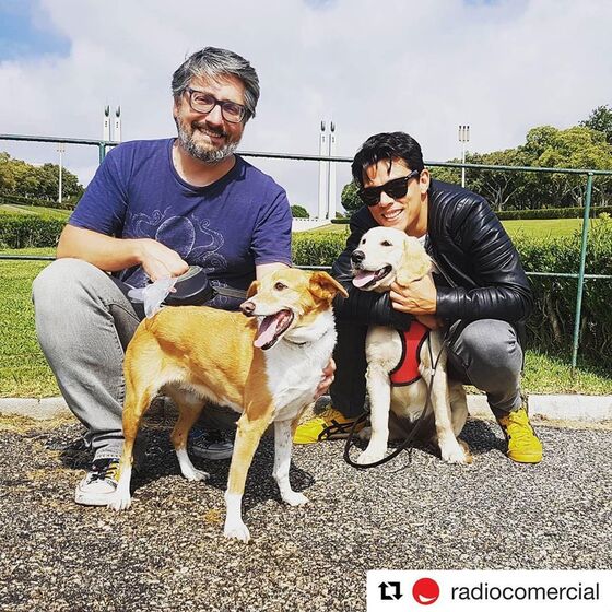 Nuno Markl, casa, cães, destruição, quintal, rádio comercial, humorista