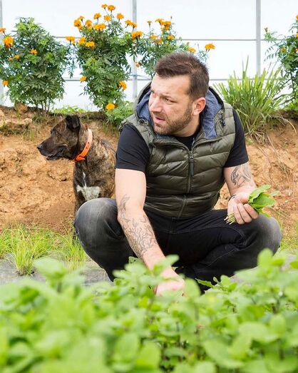 Ljubomir Stanisic, pesadelo na cozinha, tvi
