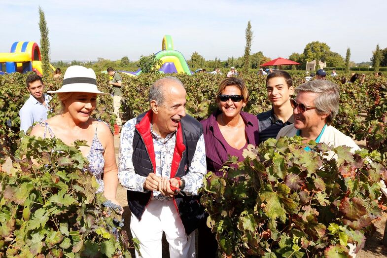 joe berardo, vindimas, vinha, quinta da bacalhôa, azeitão