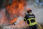Tony Carreira, incêndio