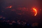 Tony Carreira, incêndio