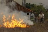 incêndios, país a arder, 