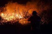 incêndios, país a arder, 
