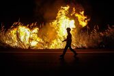 incêndios, país a arder, 