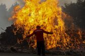 chamas, fogo, incêndio