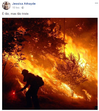 famosos, incendios
