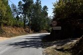 tragédia incêndios