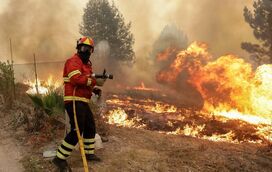 Esperando os incêndios