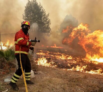 Esperando os incêndios