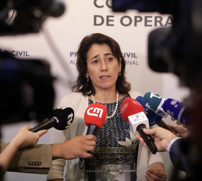 ÚLTIMA HORA: Constança Urbano de Sousa demite-se e garante que já o tinha tentado fazer antes