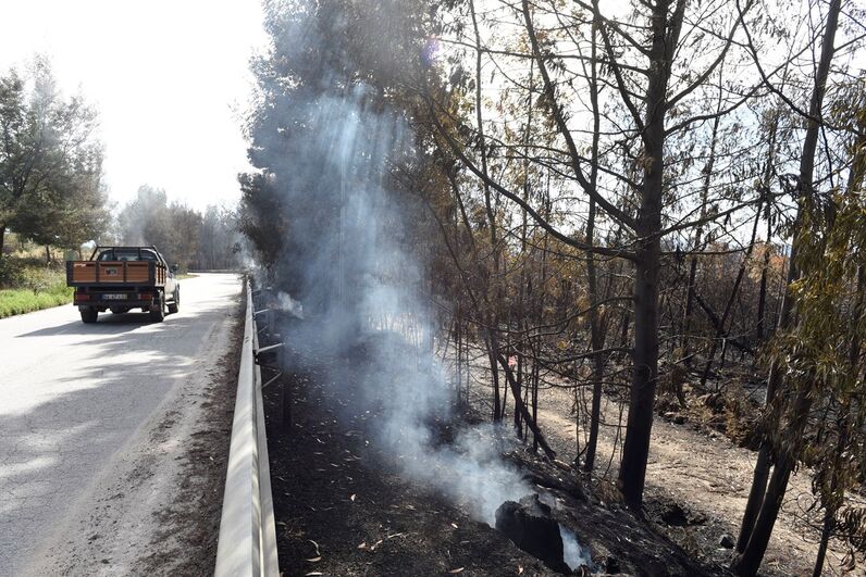 tragédia incêndios