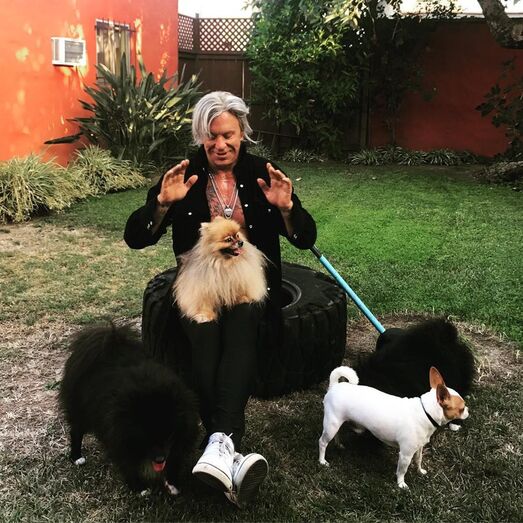 mickey rourke, operação plástica, nariz, boxe, 9 semanas e meia