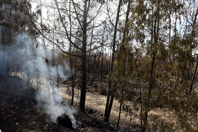 tragédia incêndios