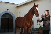 Helena Nabeiro, Joaquim Bastinhas, elvas, herdade das argamassas