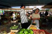 Feira da Malveira