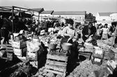 Feira da Malveira