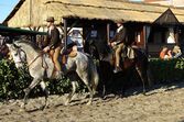 feira da golegã, feira nacional do cavalo, feira internacional do cavalo lusitano, feira de são martinho, golegã, cavalo