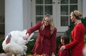 trump, trumps, thanksgiving