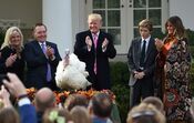 trump, trumps, thanksgiving