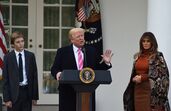trump, trumps, thanksgiving