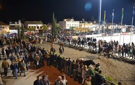 Paixão e tradição na Feira de São Martinho