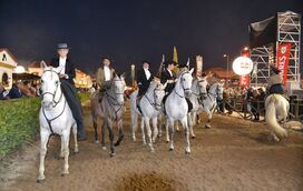 Prepare-se! Regressa esta semana à Golegã a Feira Nacional do Cavalo