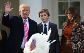 Família Trump estreia-se na tradição de Thanksgiving da Casa Branca
