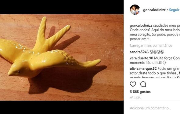 Gonçalo Diniz, João Ricardo